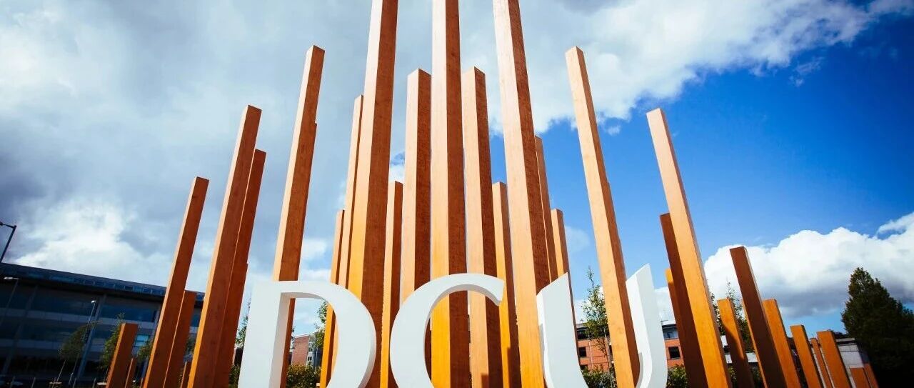 都柏林城市大学