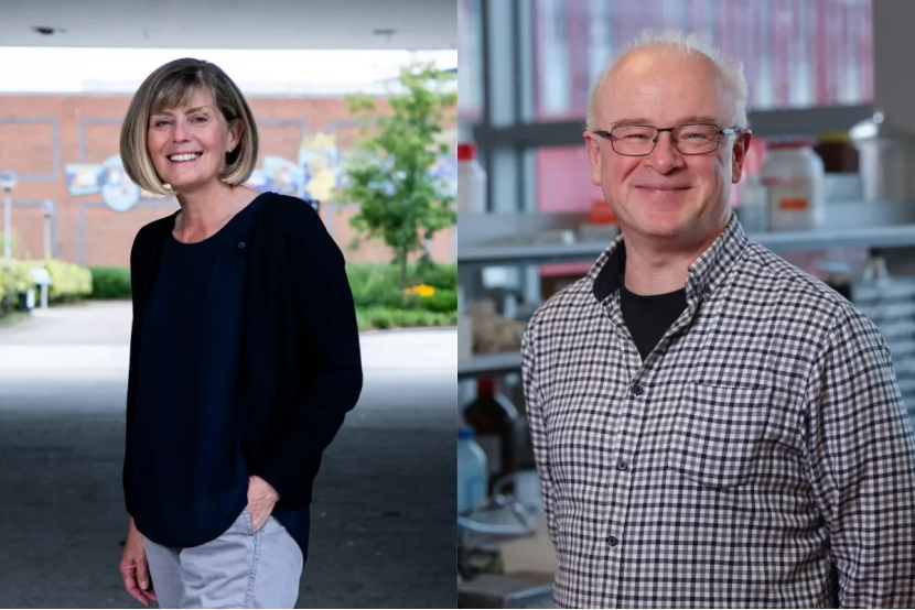 都柏林城市大学