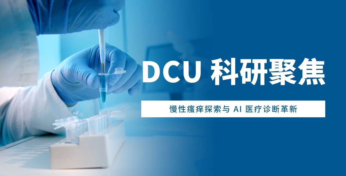 都柏林城市大学