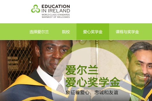 都柏林城市大学
